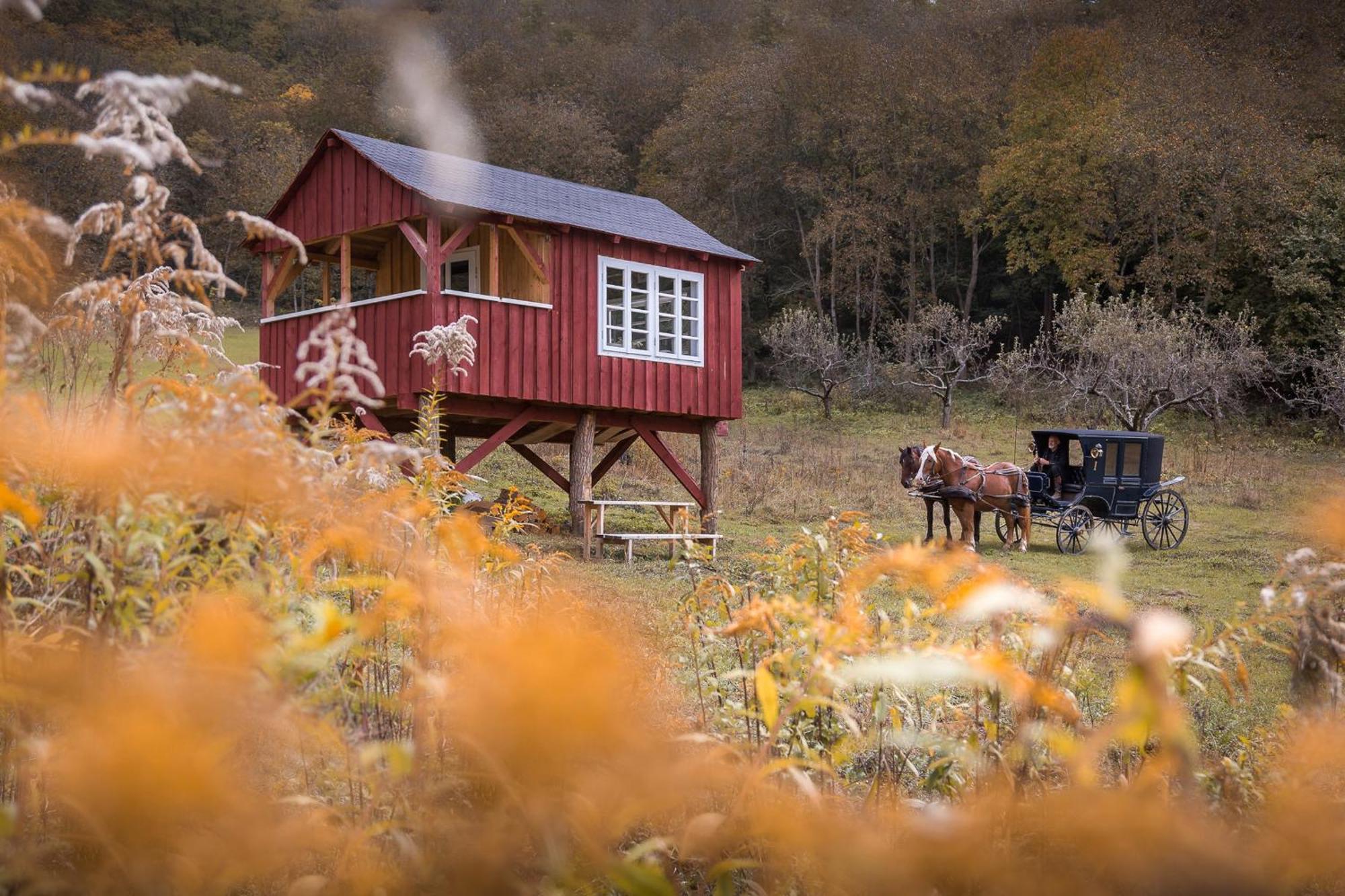 Valea Verde Retreat Transilvania Cund Eksteriør bilde